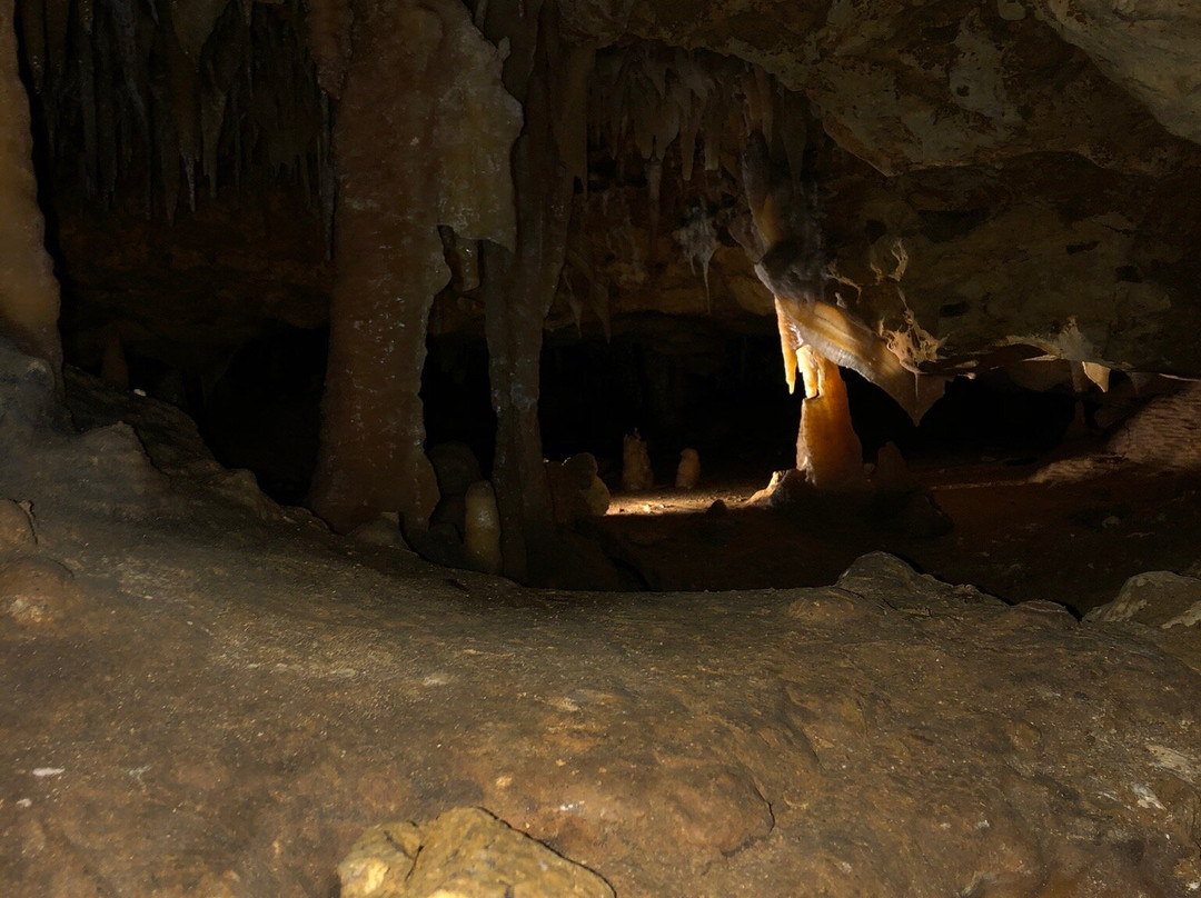 Victoria Fossil Cave-Naracoorte必去景点
