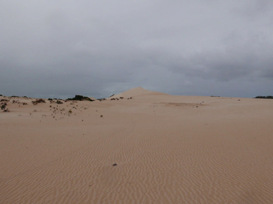 Little Sahara-袋鼠岛必去景点