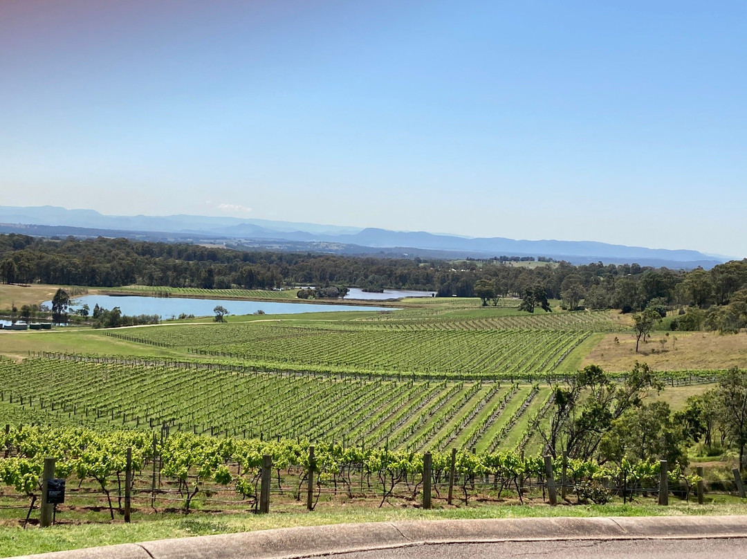 Hunter Valley Tours for Two景点图片