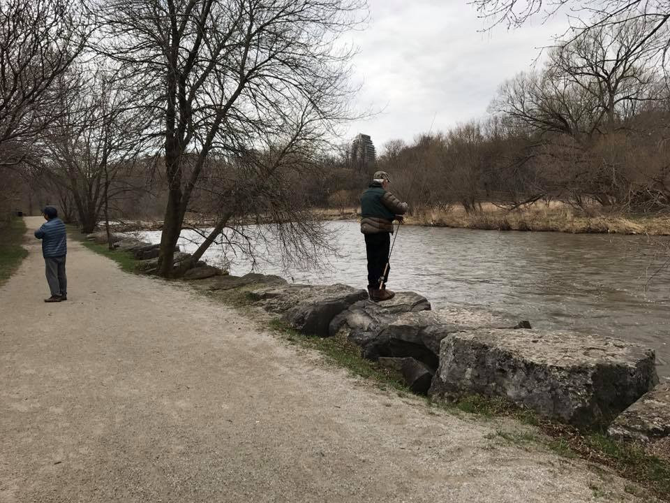 Erindale Park-米西索加必去景点