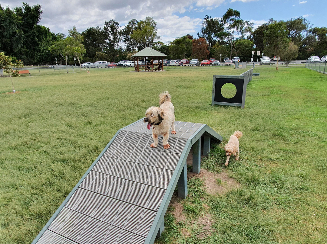 Frascott Small Dog Fenced Agility Dog Park景点图片