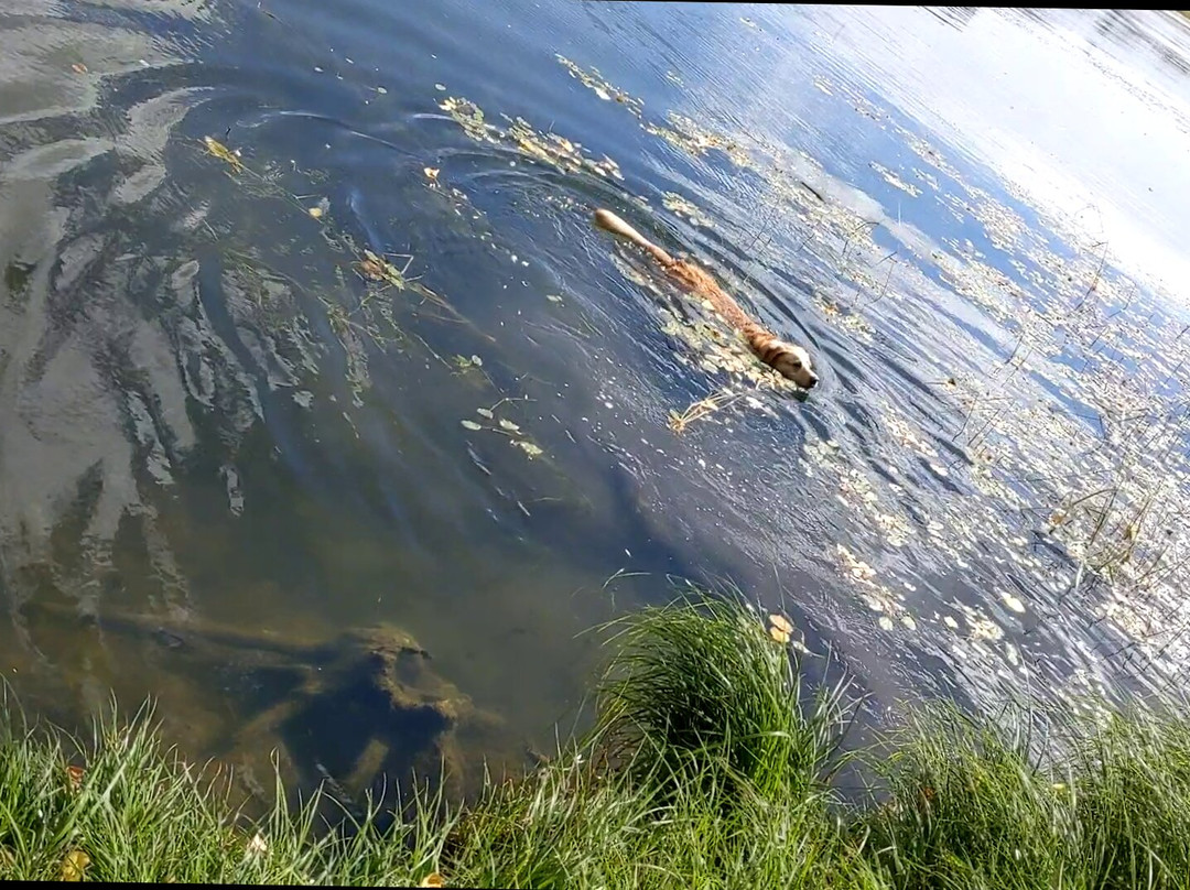 Carberry (Spirit Sands) Desert-Carberry必去景点