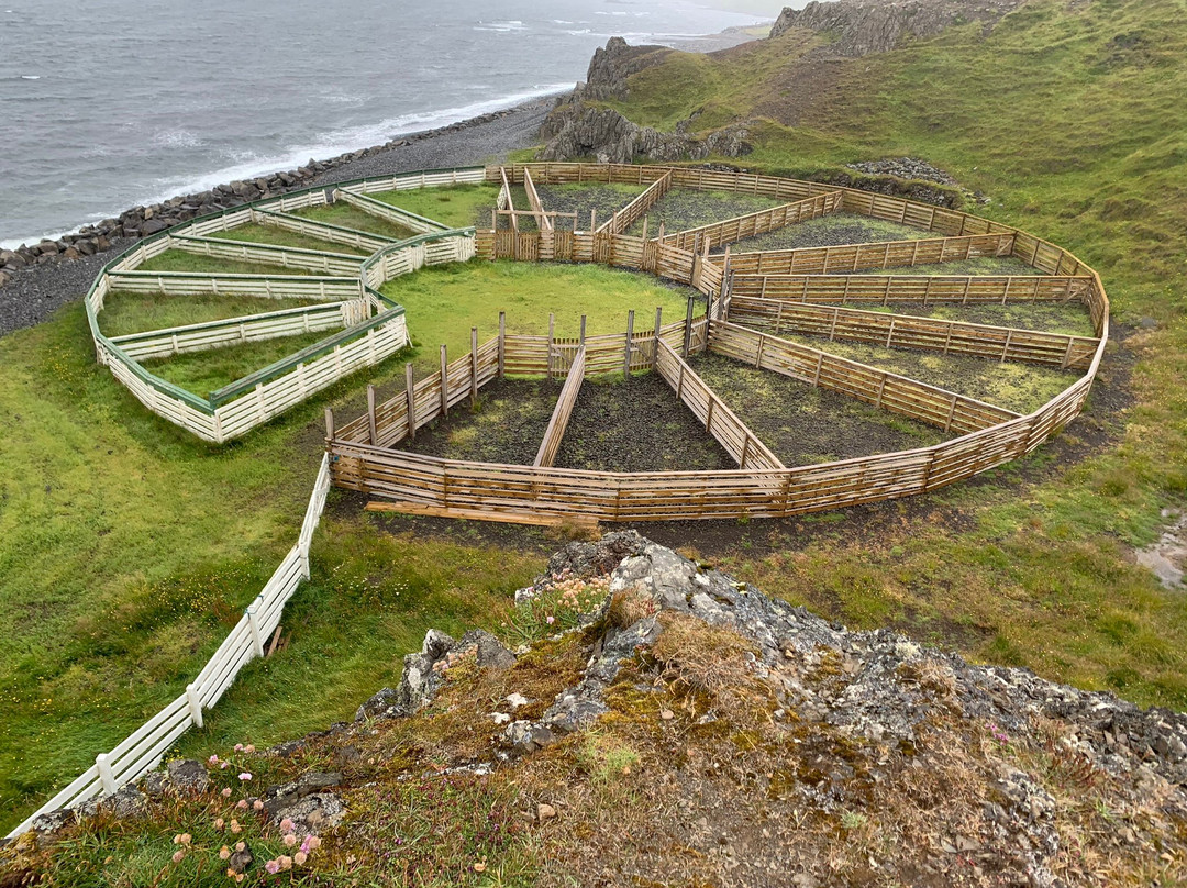 Illugastaðir Farm-Bifrost必去景点