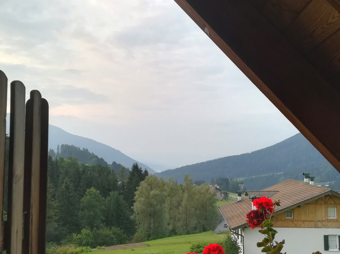 B&B Affittacamere Larix主图