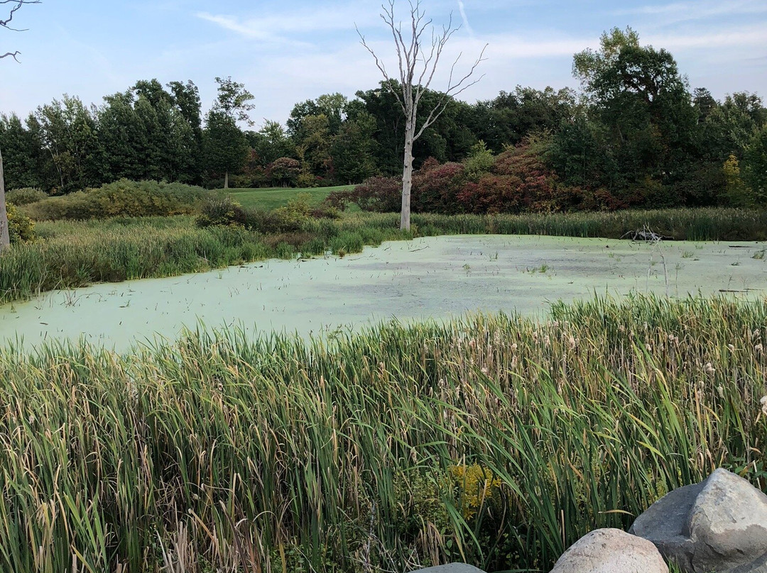 The Preserve Golf Club-Fenton必去景点