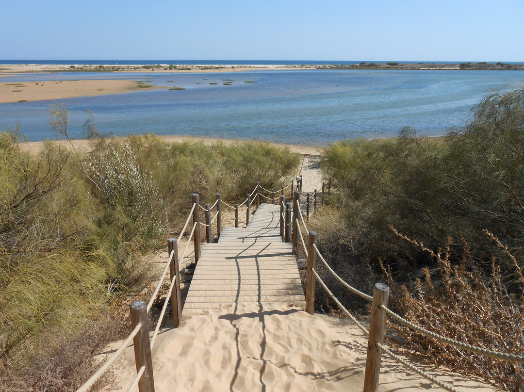 Robinson Quinta Da Ria主图