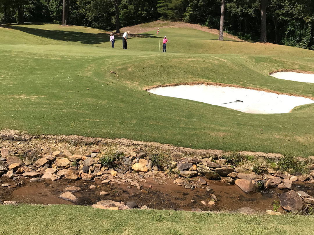 Kingwood Resort主图