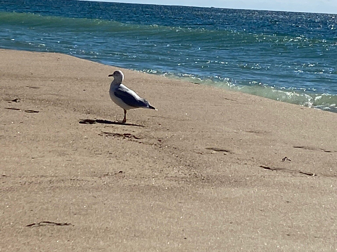 Misquamicut State Beach-韦斯特利必去景点