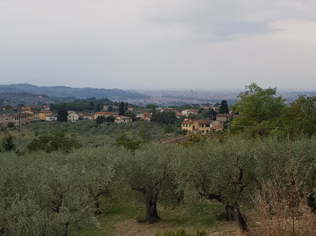 Giulio the Truffle Hunter-巴尼奥阿里波利必去景点