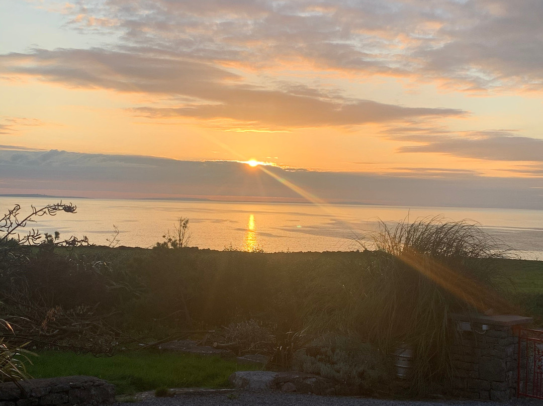 Orchid House Bed & Breakfast主图