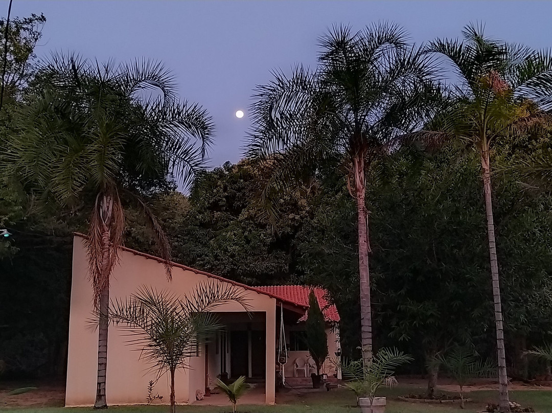 Complexo Akaiá主图