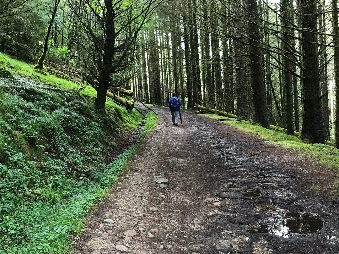 Dun Na Cuaiche Woodland Walk景点图片