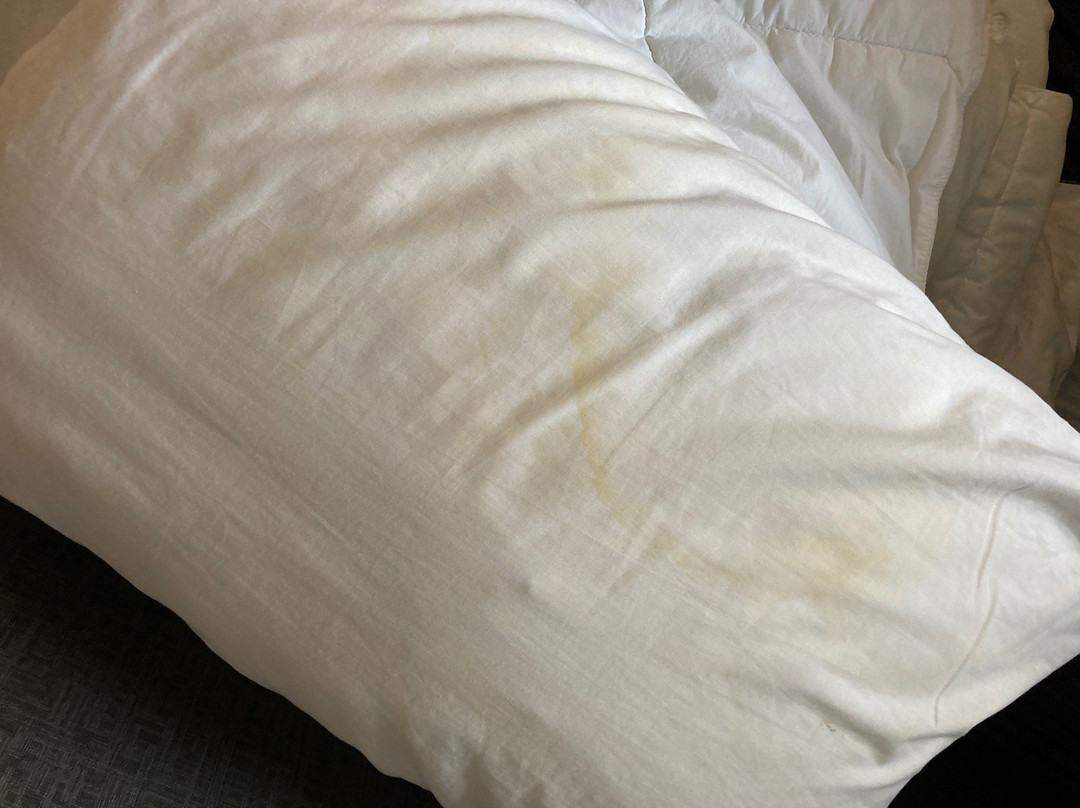 Western Star Inn & Suites Melita主图