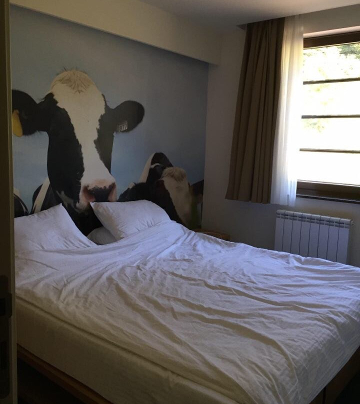 Lavina Hotel Jahorina主图