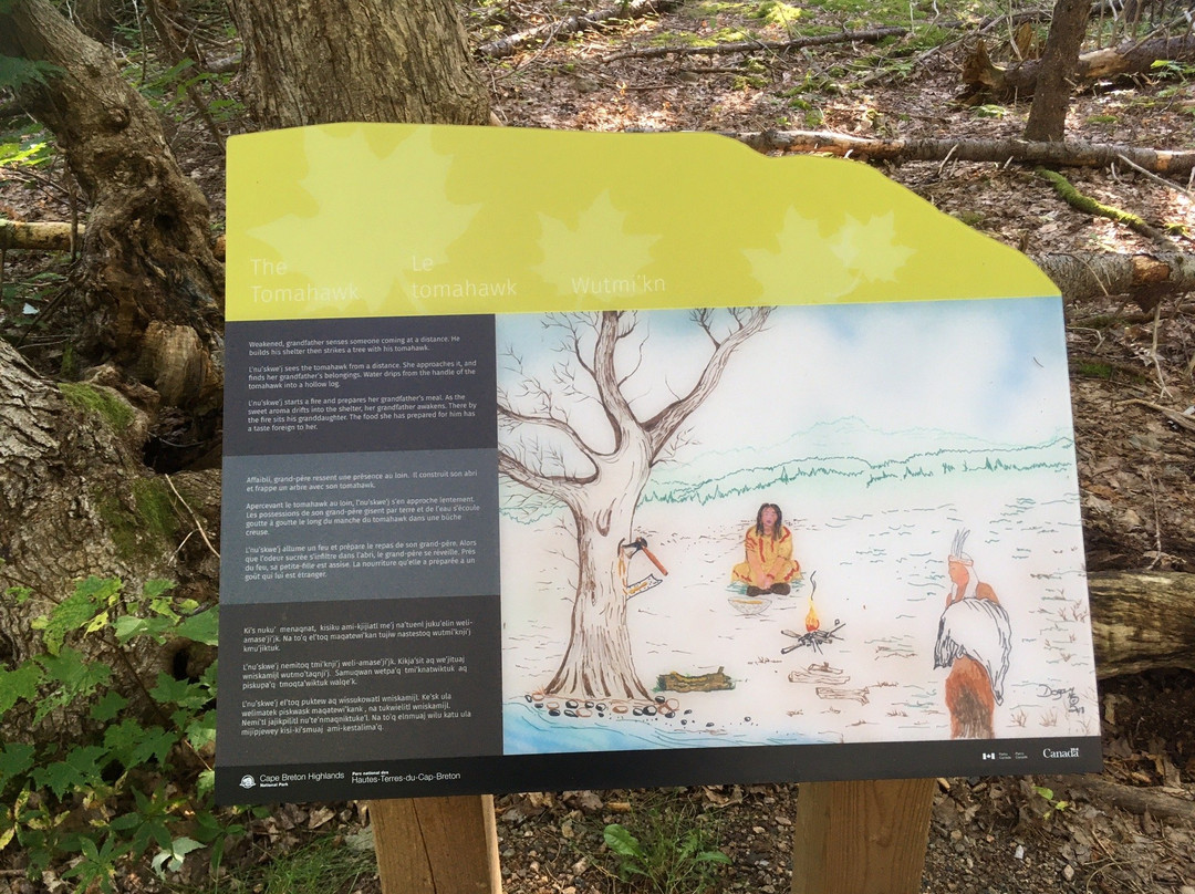 MacIntosh Brook Trail-Pleasant Bay必去景点