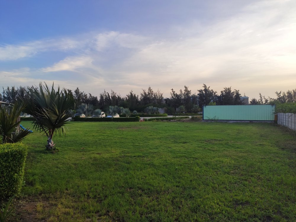 Beetle Smartotels主图