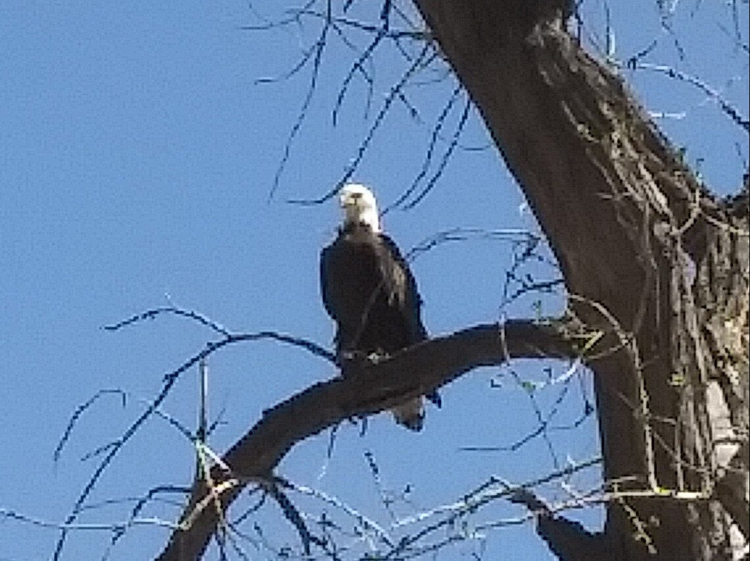 Lake Pueblo, Colorado State Park-普韦布洛必去景点