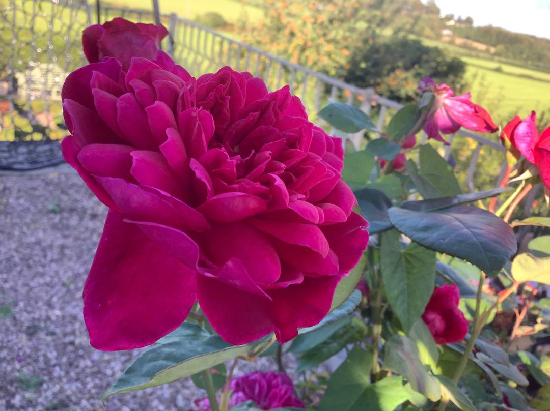 Stoulgrove Country House B & B主图