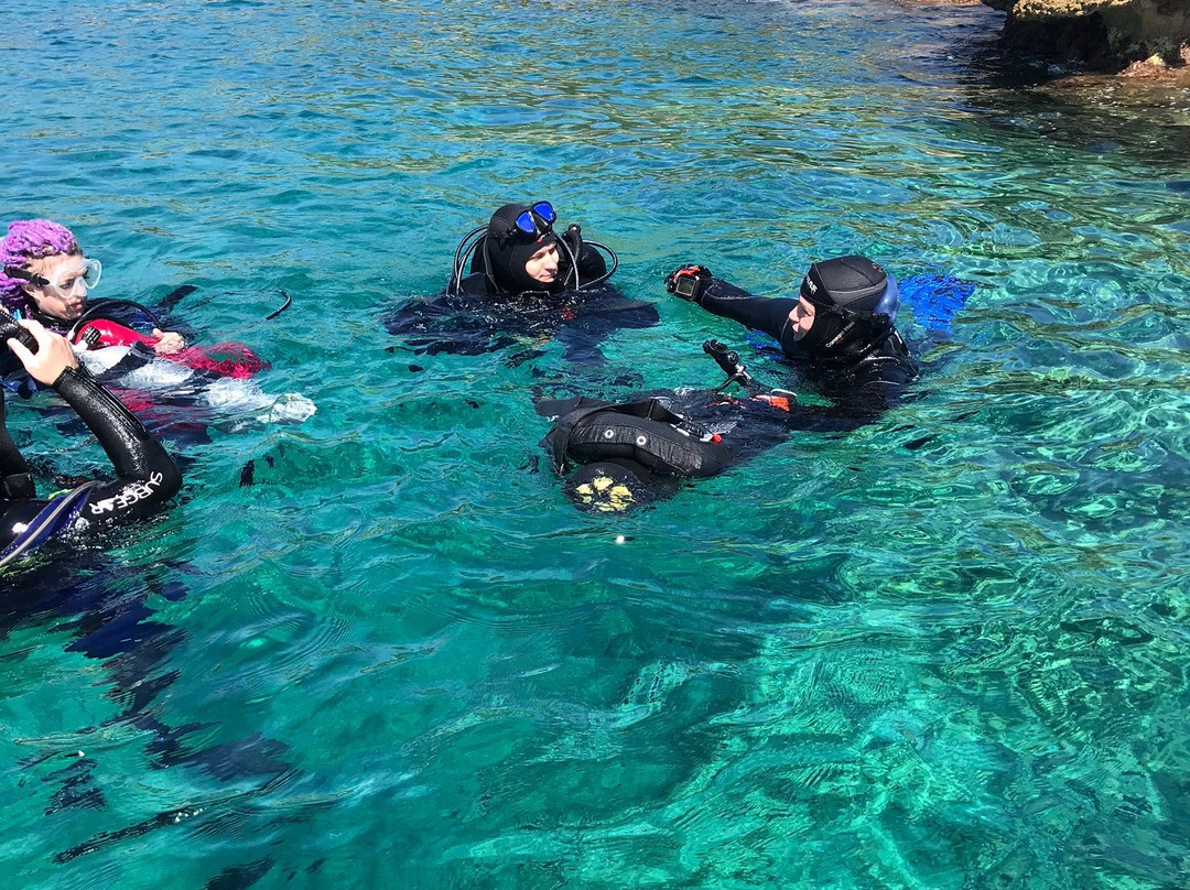 Diving Club Adriatic Blue景点图片