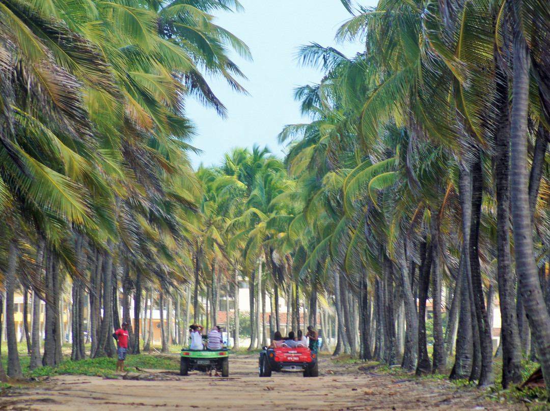 Expresso Turismo-嘎林海斯港必去景点
