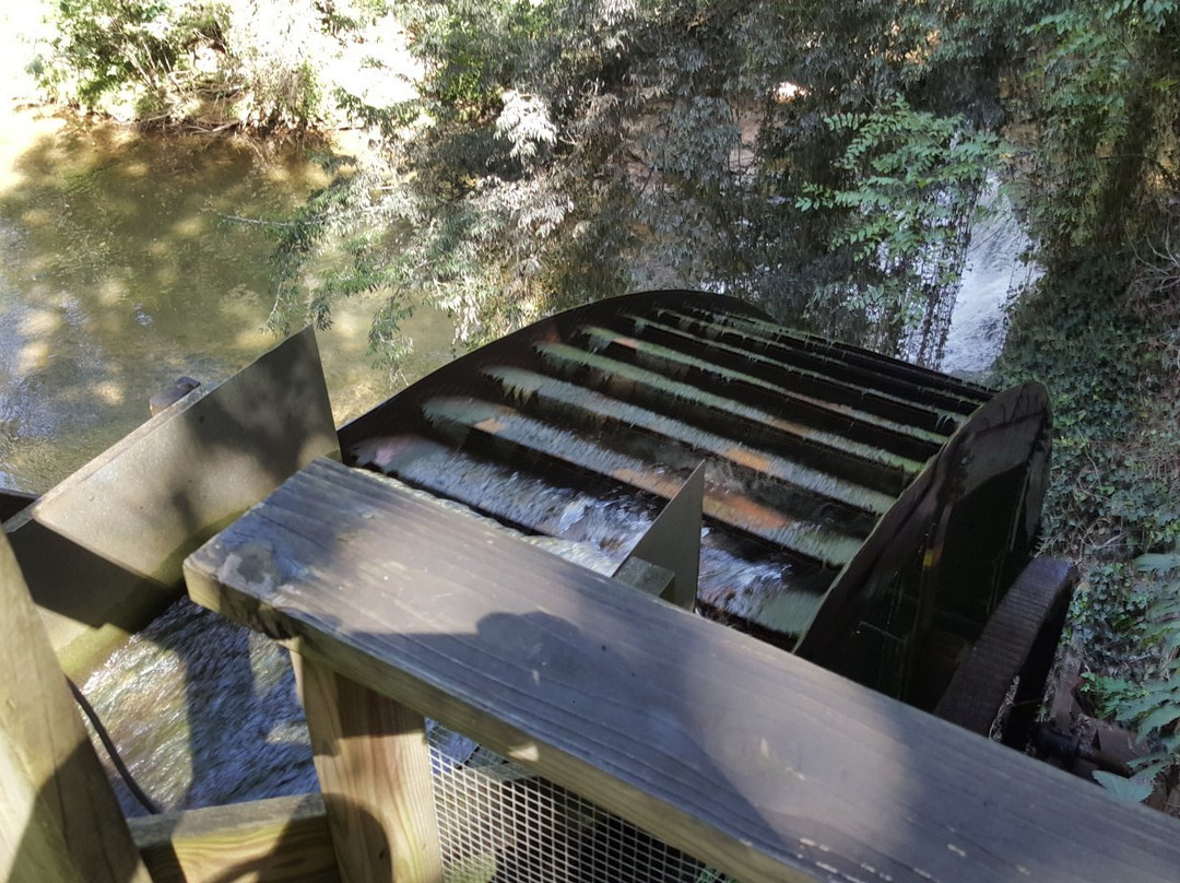 Falls Mill-Belvidere必去景点