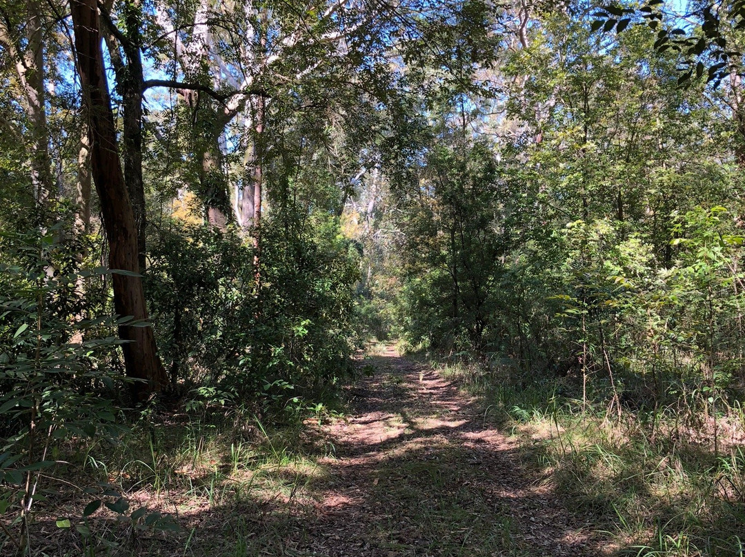 Hunter Region Botanic Gardens景点图片