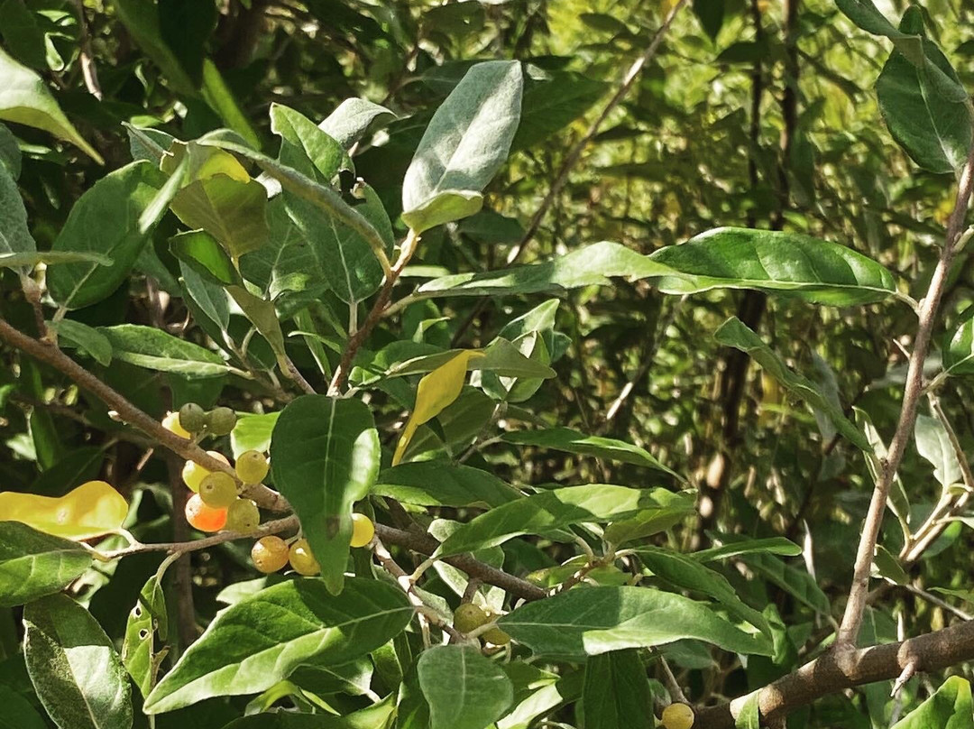 West Lake Preserve-Chelsea必去景点