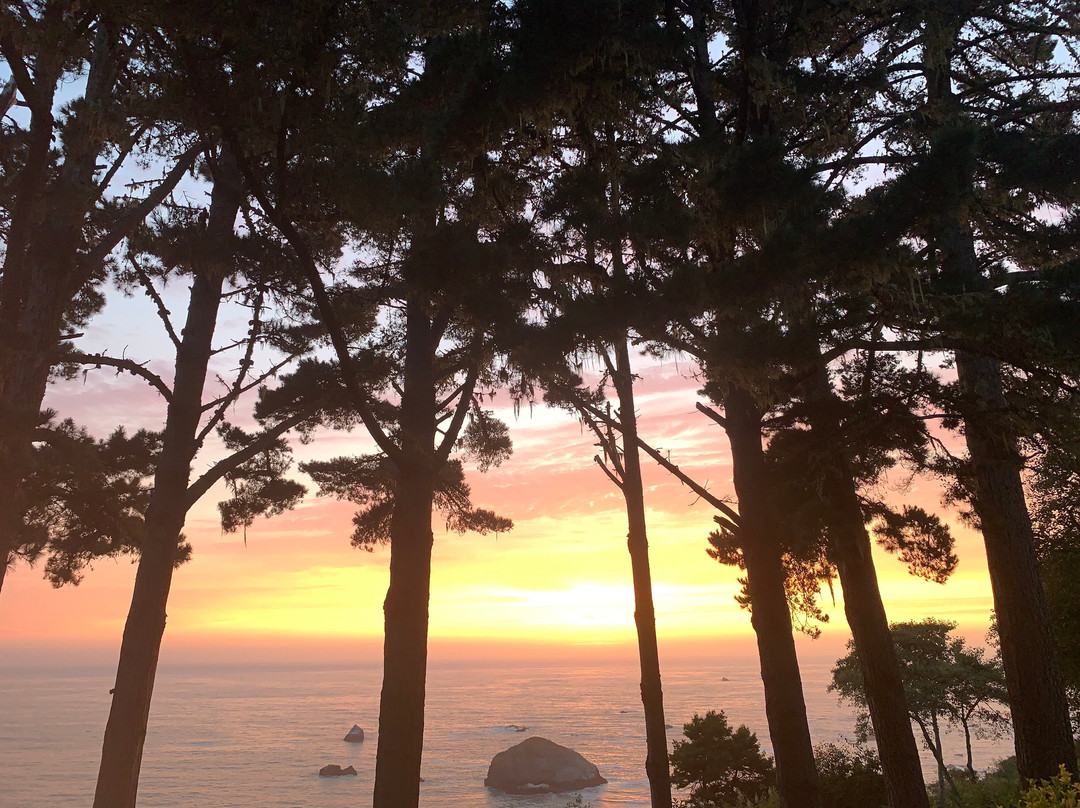 Lost Whale Inn主图