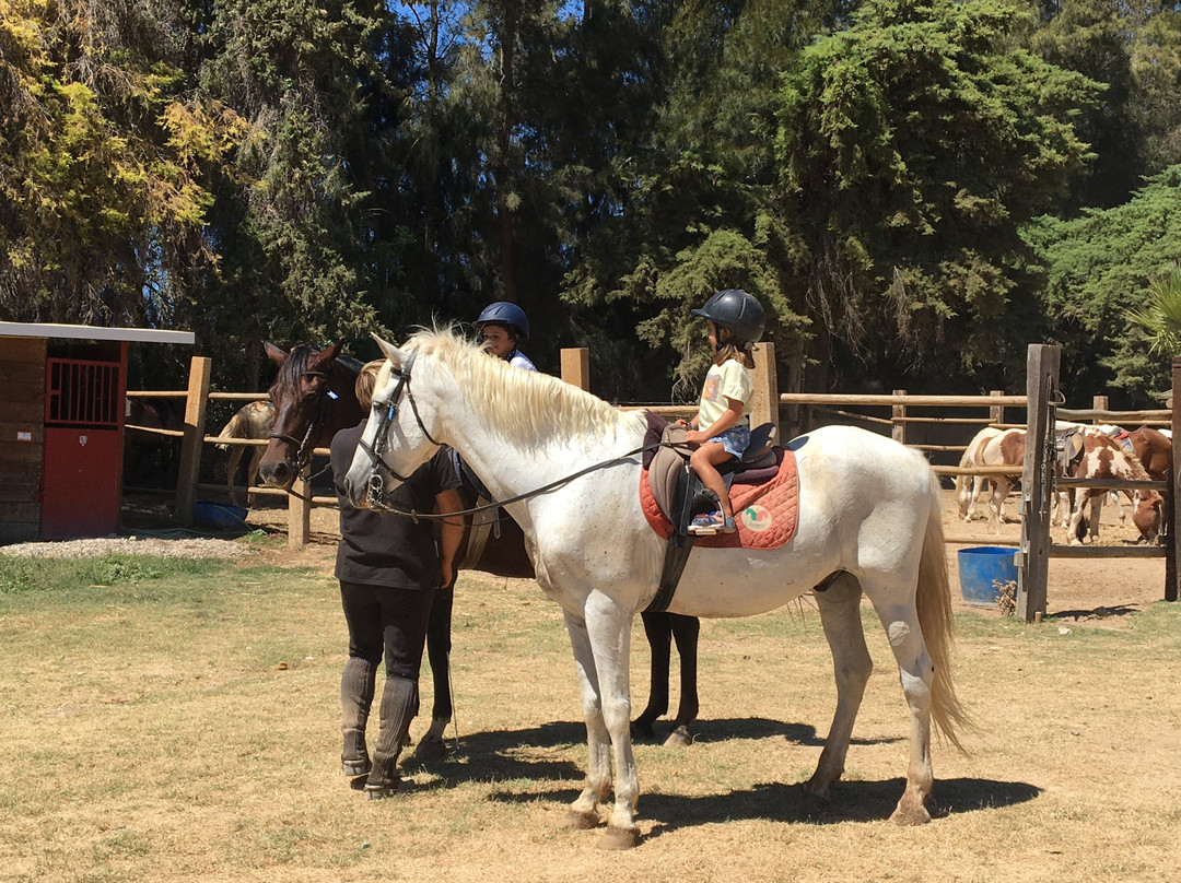 Tavira Equestrian Tourism-塔维拉必去景点