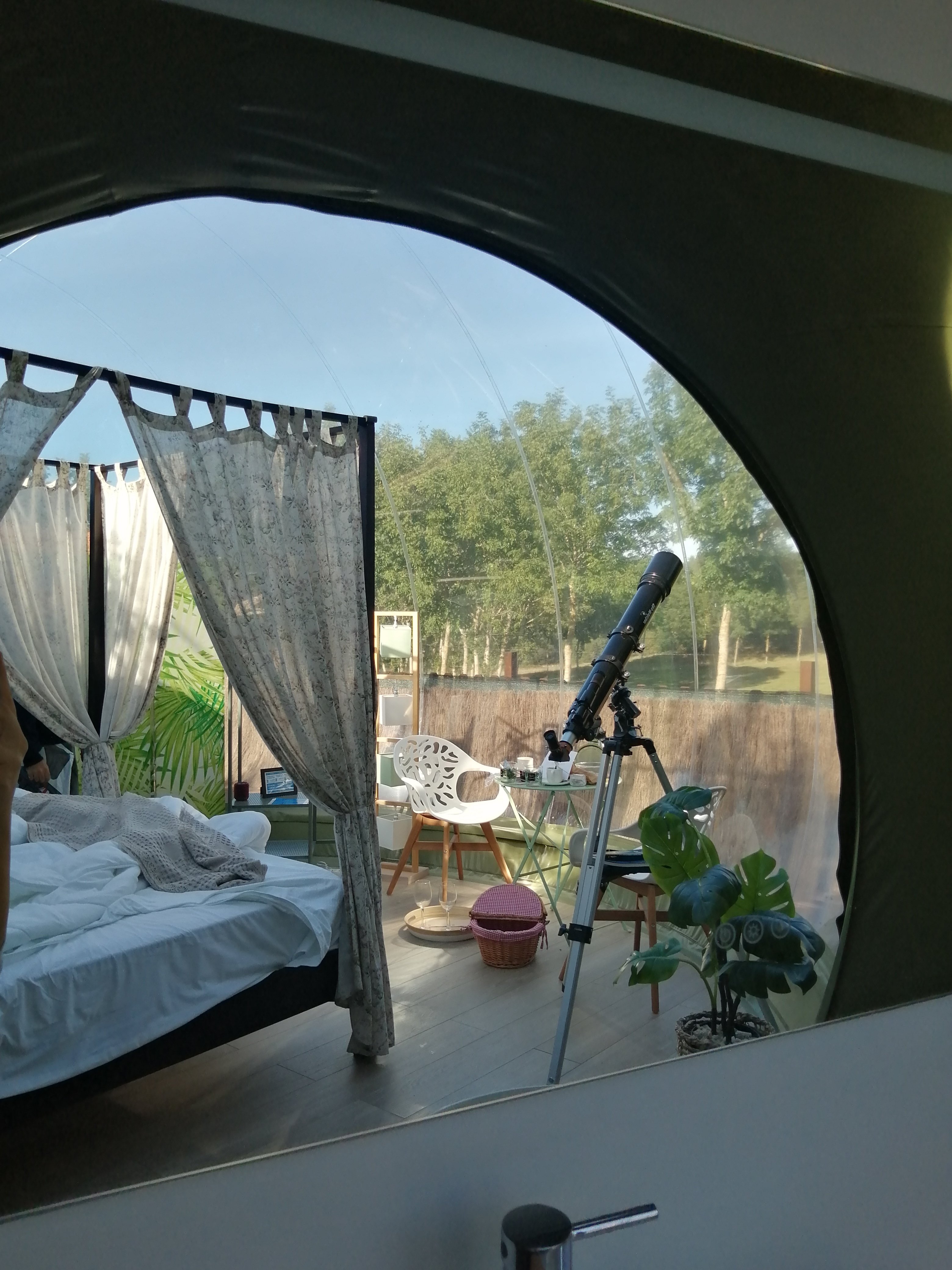 Remanso De Trasfontao Casa Das Arbores & Bubble-官方