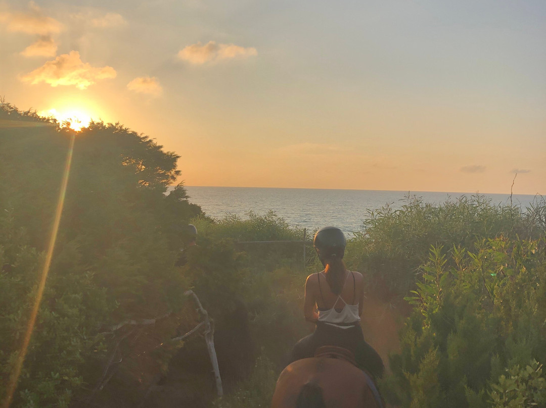 Centro Equestre La Rena Bianca-Badesi必去景点