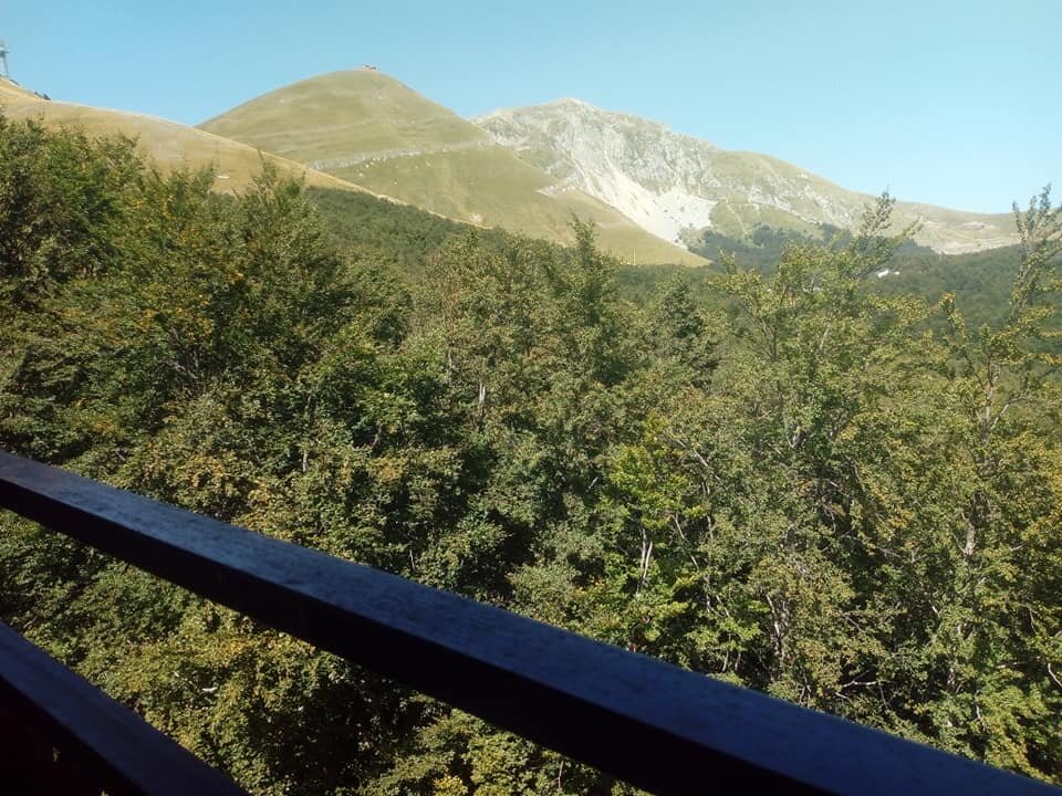 Hotel Sporting Tre Cime-酒店景观
