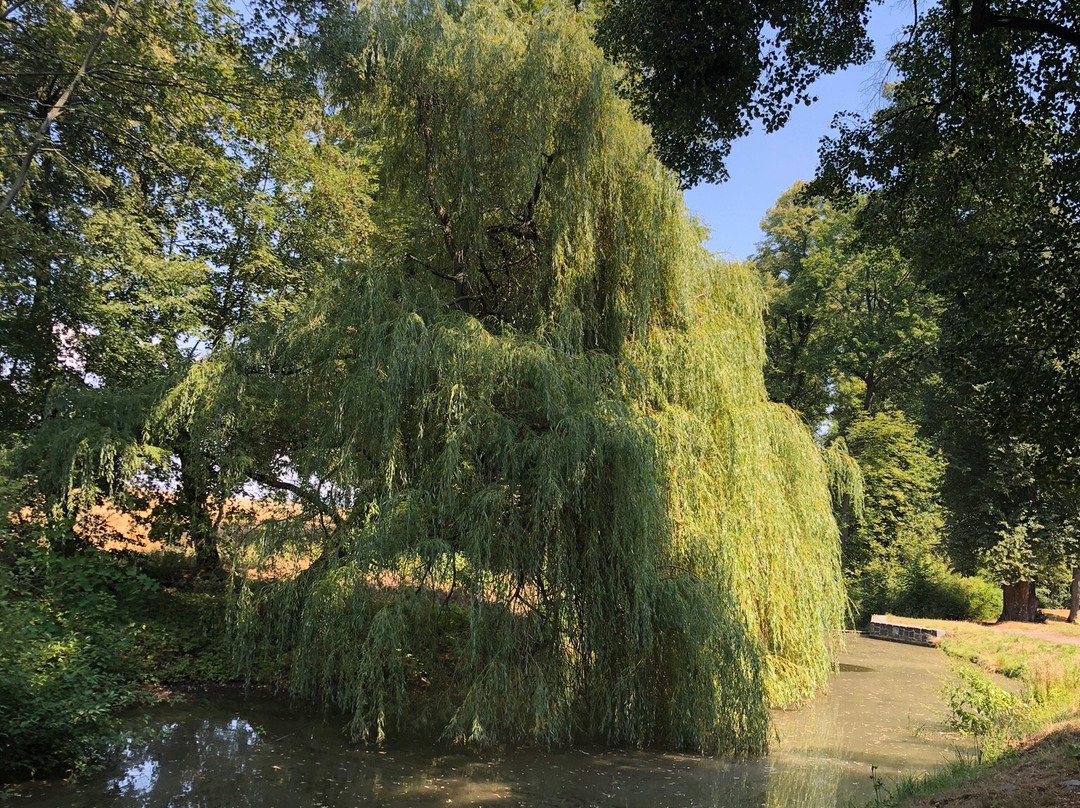 Statni Zamek Krasny Dvur-Krasny Dvur必去景点