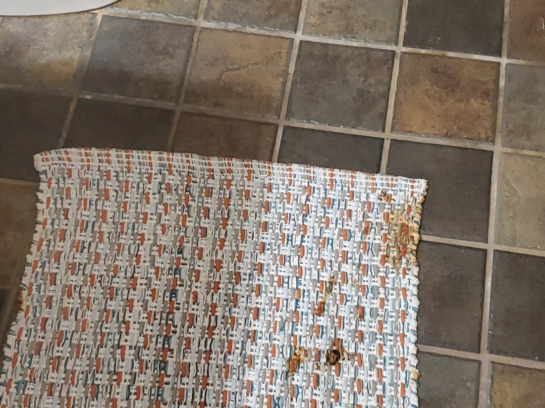 缪尼辛旅游景点-Pictured Rocks Interpretive Center