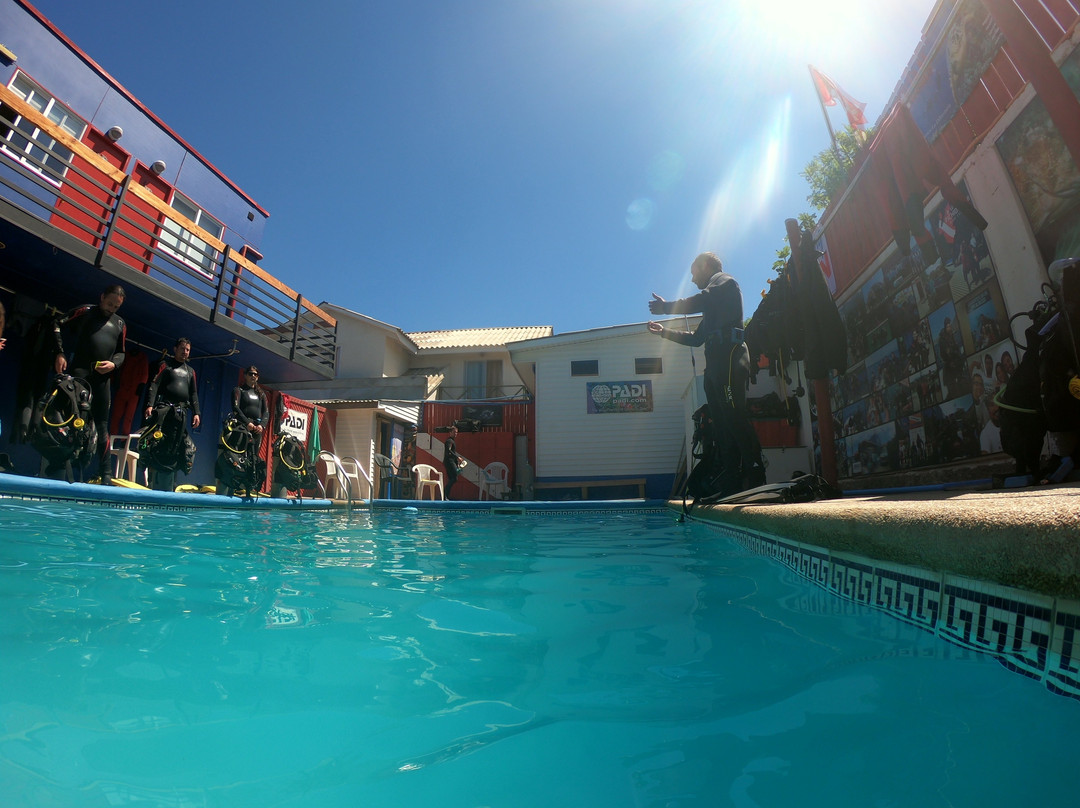 Buceo Pichidangui Dive Center-Pichidangui必去景点