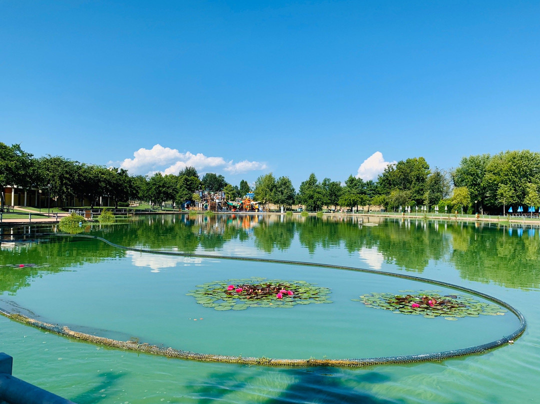 Parco La Quiete景点图片
