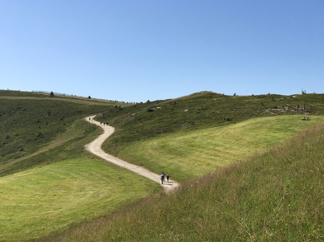 Alpenhotel Schonwald主图