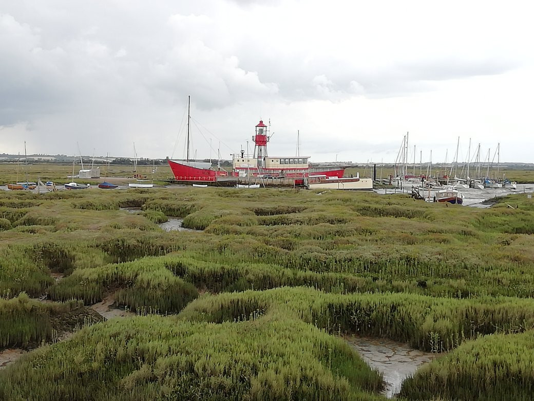 Tollesbury Wick Nature Reserve景点图片