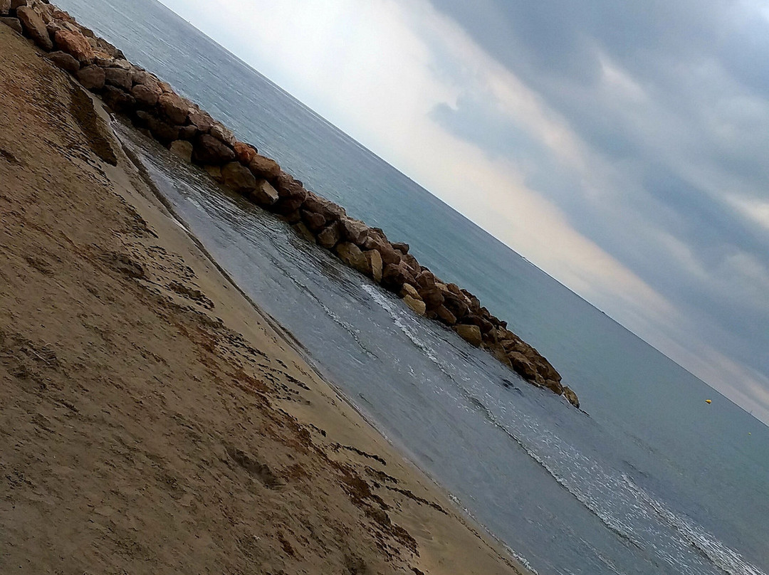Plage des Aresquiers景点图片