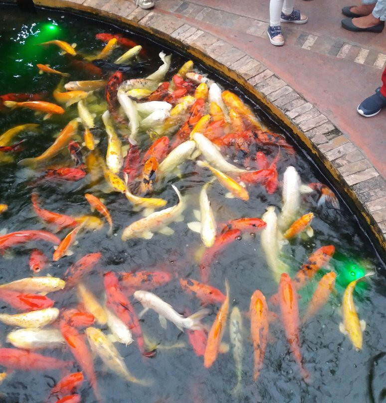 Sambil Margarita景点图片