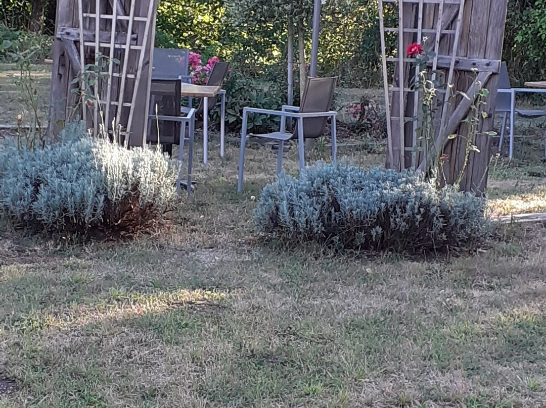 La Gare Aux Oiseaux主图