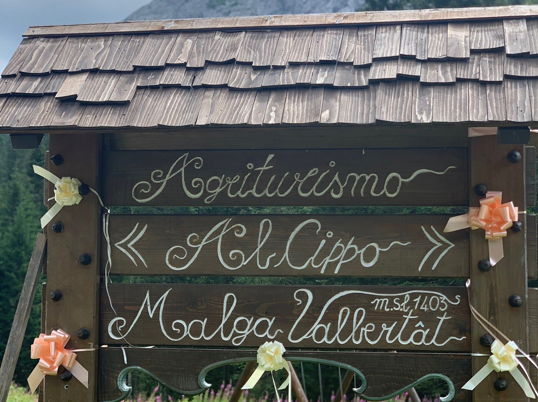 Agriturismo Al Cippo