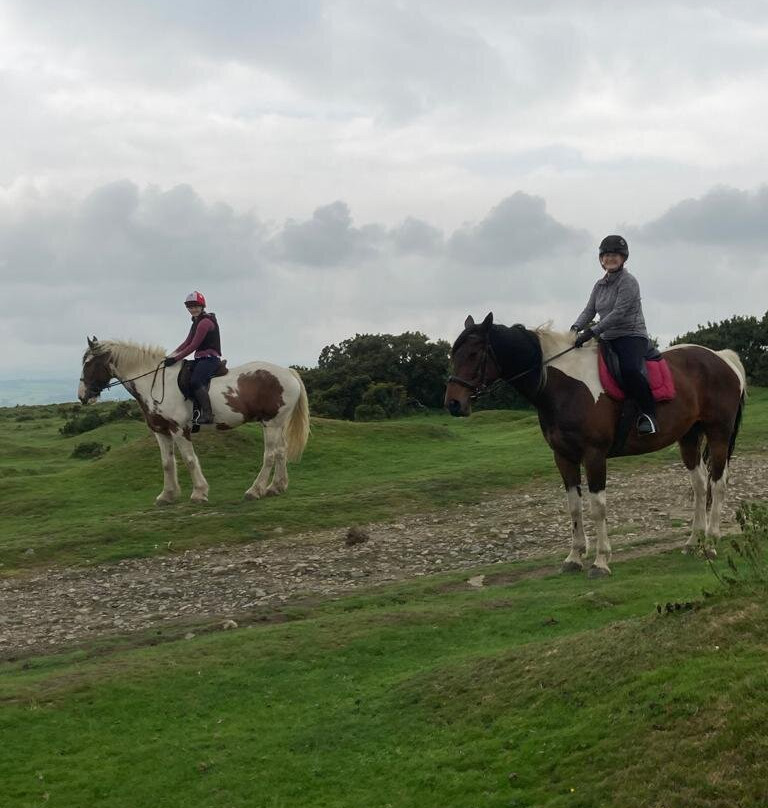 Caradon Hill Trekking and Equestrian Centre-Pensilva必去景点