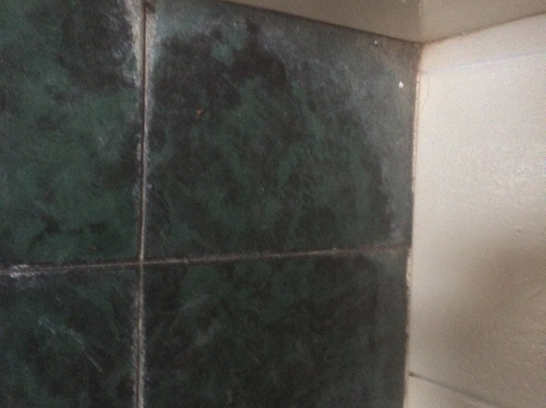 Casa Alpina Sant' Apollinare主图