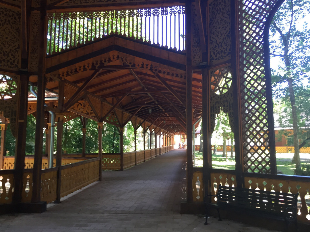 Buziaș Dendrological Park景点图片