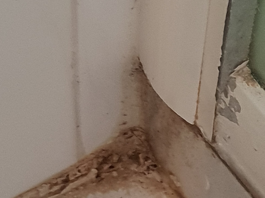 Belambra Clubs Les Ayguades主图