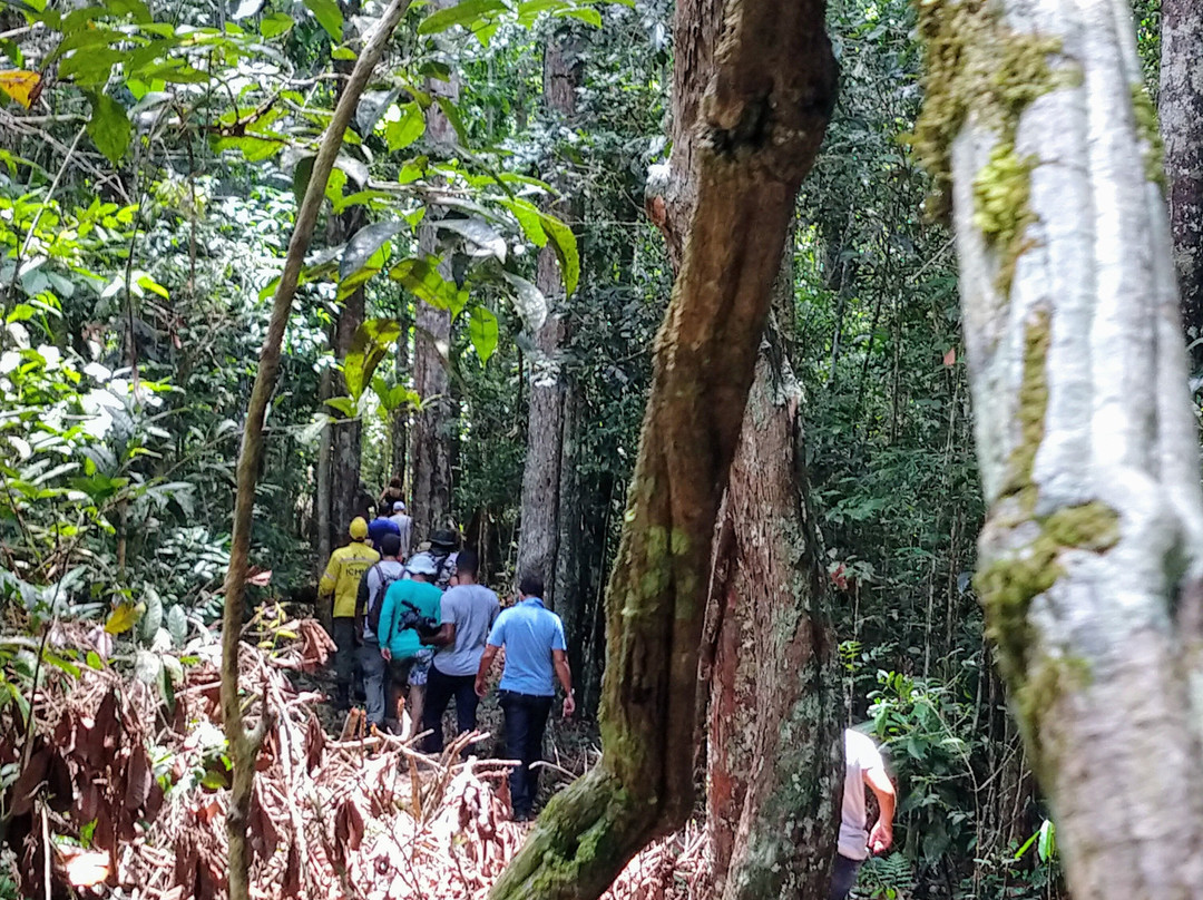 Parque Nacional do Descobrimento-Prado必去景点
