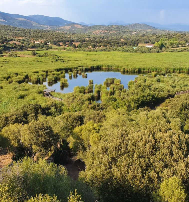 Etang de Tanchiccia-Serra-di-Ferro必去景点