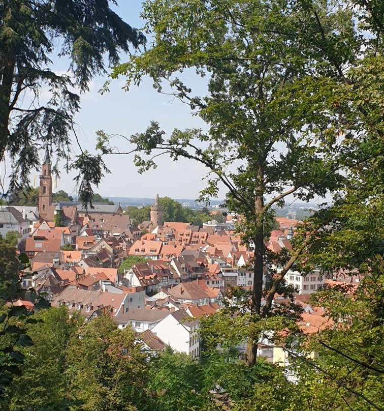 Exotenwald Weinheim-魏因海姆必去景点