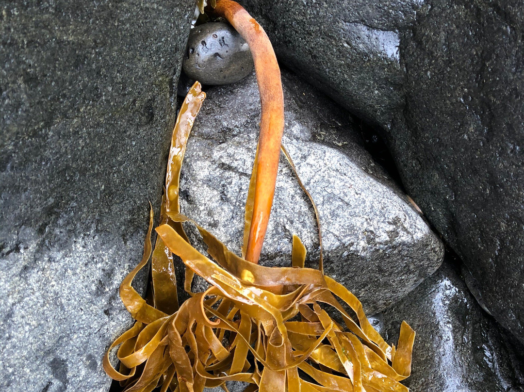 Tourist Information Center Blonduos - Austur Hunavatnssysla-Blonduos必去景点